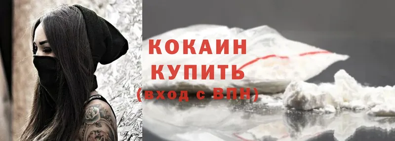 Cocaine FishScale  дарк нет клад  Александровск 