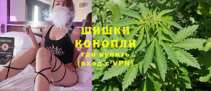 Конопля Ganja  купить  цена  Александровск 